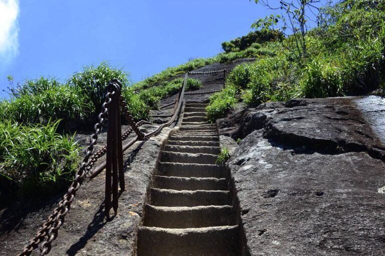 Ecoturismo no Rio de Janeiro - Trilha do Pico da Tijuca