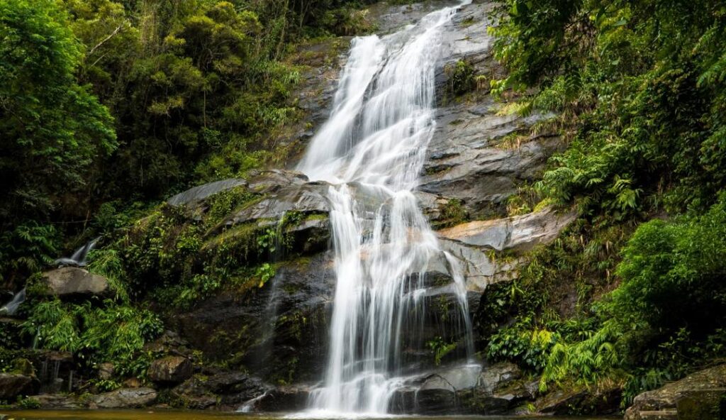 Parque Nacional da Tijuca Ecoturismo no Rio de Janeiro