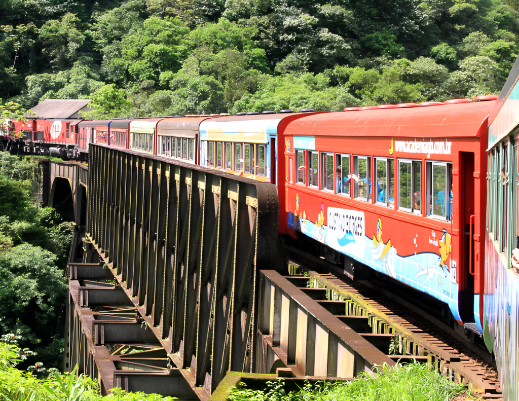 Guia de viagem: roteiro de 3 dias em Curitiba